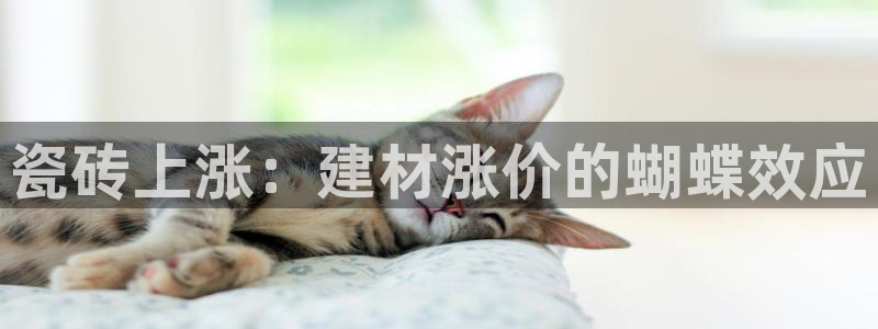杏鑫娱乐测速