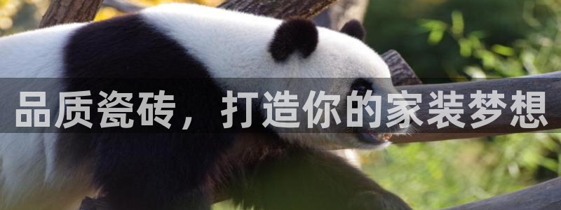 杏鑫娱乐是真的吗还是假的