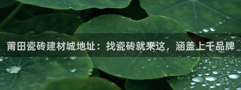 杏鑫娱乐官方网站客户端登录
