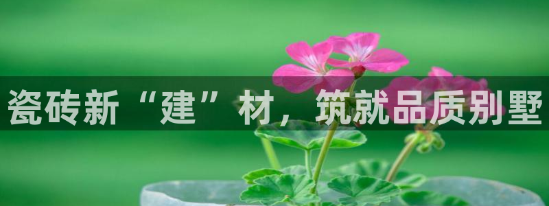杏鑫平台号7O777