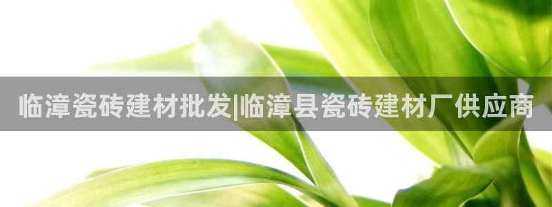 杏鑫平台代理怎么做赚钱