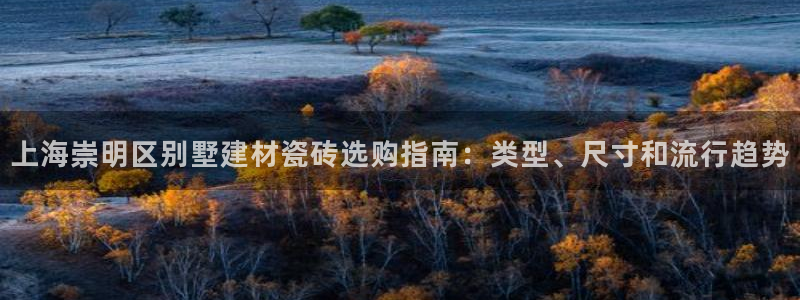 杏鑫平台待遇