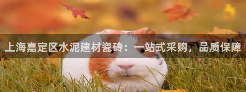 杏鑫平台招商电话号码查询