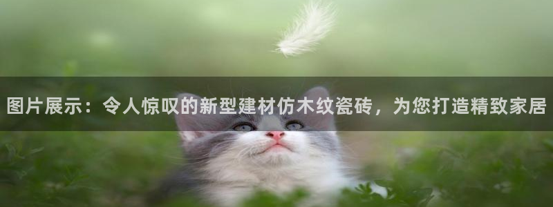 杏鑫平台怎么样黑钱吗知乎