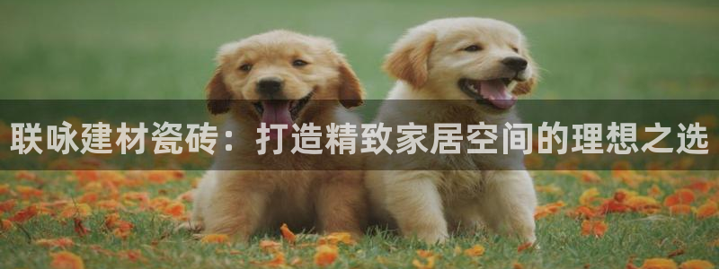 杏鑫注册登录代理公司