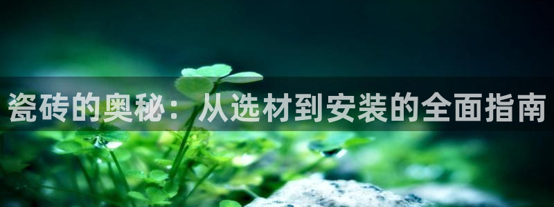 杏鑫平台注册入口