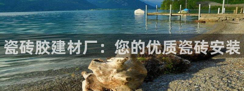 杏鑫平台代理注册登录不了怎么办呀视频