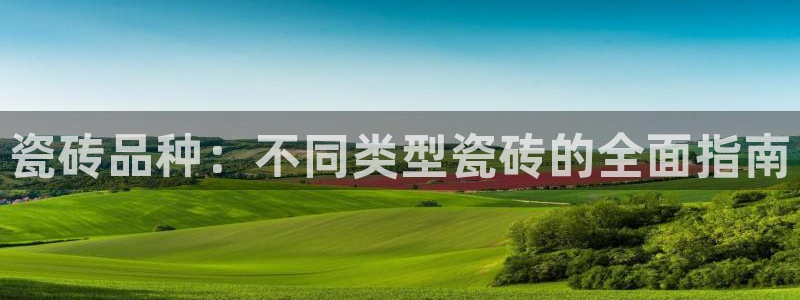 杏鑫官方平台怎么样啊知乎