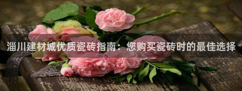 杏鑫官方app代理