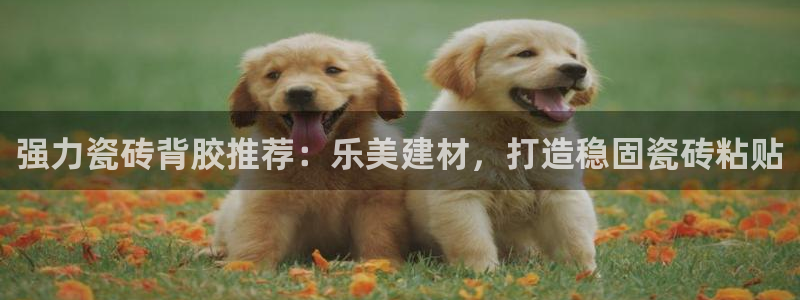 杏鑫娱乐平台测速