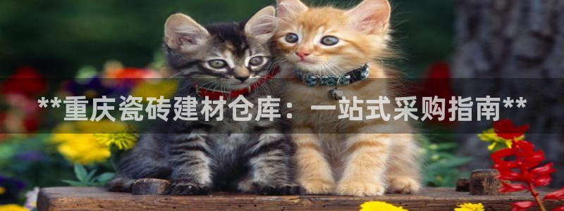 杏鑫平台代理注册多少钱一个