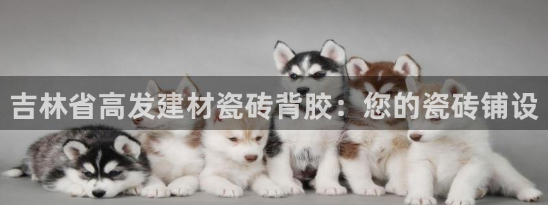 杏鑫平台广7O777