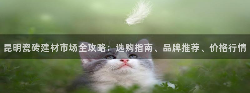 杏鑫平台怎么样黑钱吗是真的吗知乎