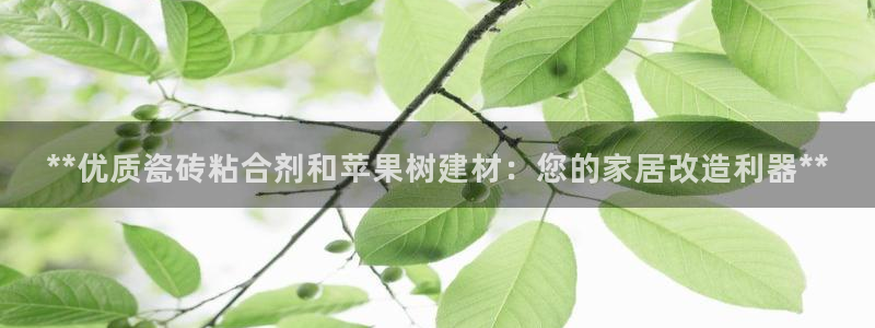 杏鑫平台线路测速