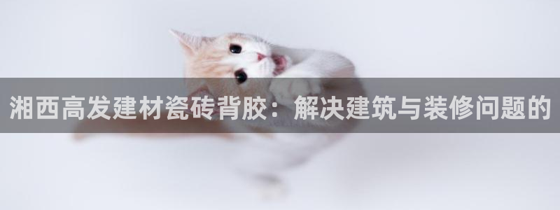杏鑫平台登陆