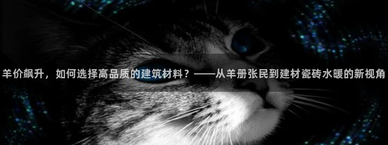 杏鑫招商总代