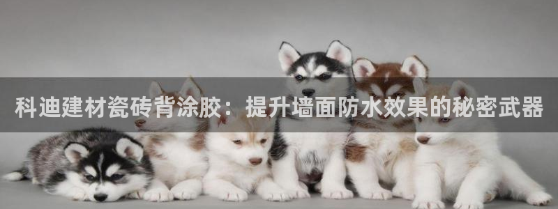 杏鑫官方平台怎么样啊