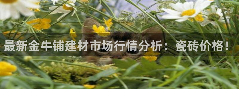 杏鑫娱乐平台测速