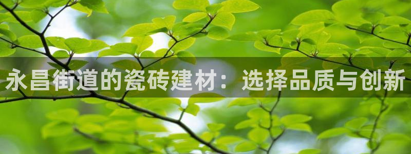 杏鑫娱乐是真的吗还是假的