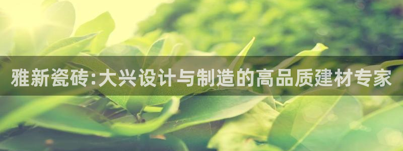 杏鑫平台招商电话号码