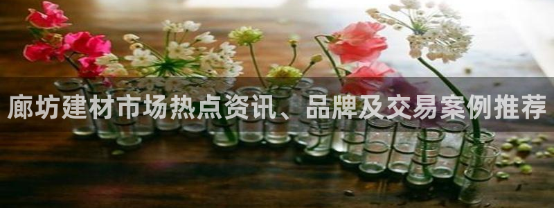 杏鑫平台野马联盟