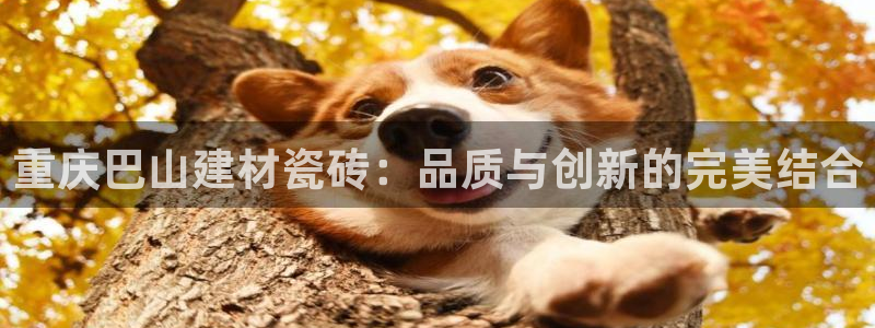 杏鑫娱乐靠谱吗