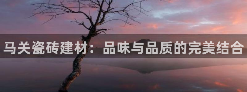 杏鑫平台怎么样黑钱吗安全吗可靠吗