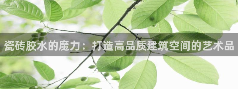 杏鑫娱乐是真的吗