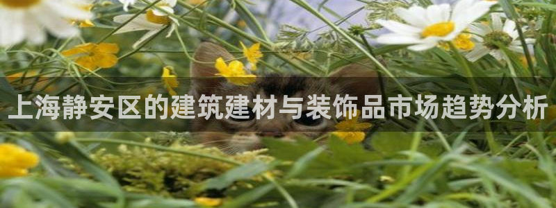杏鑫娱乐官方网站客户端登录