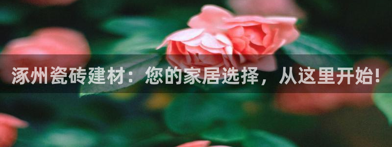 杏鑫注册登录网