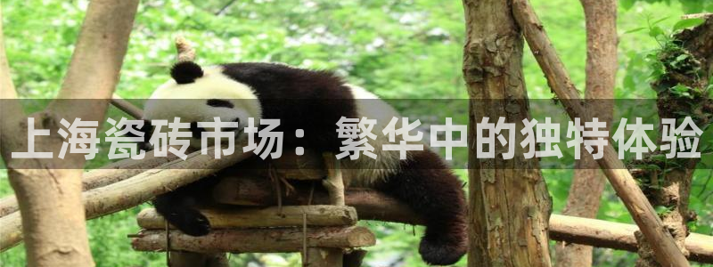 杏鑫娱乐是真的吗还是假的