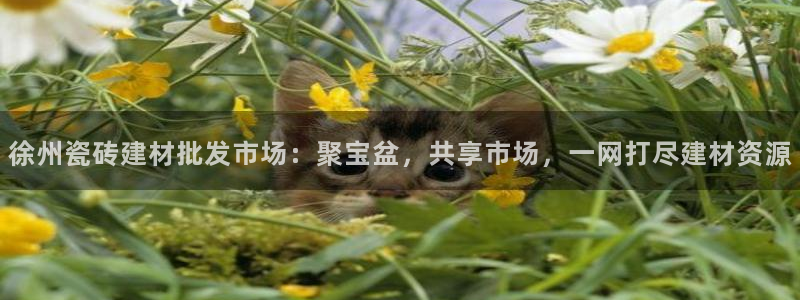 杏鑫平台怎么样黑钱吗安全吗是真的吗