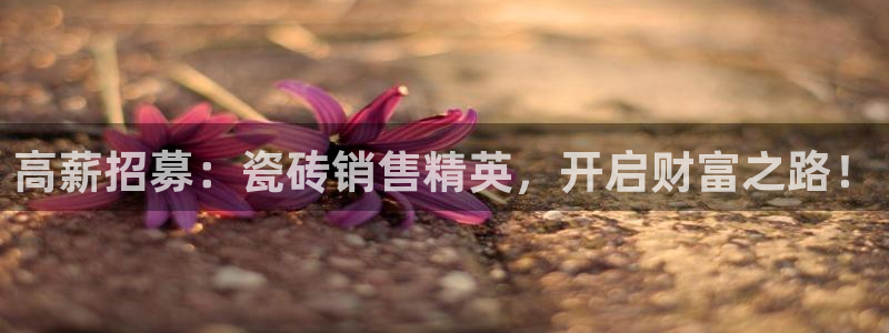 杏鑫官方平台怎么样啊安全吗