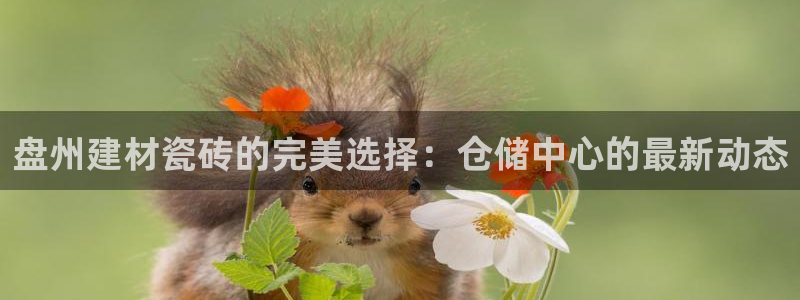 杏鑫平台官方网站