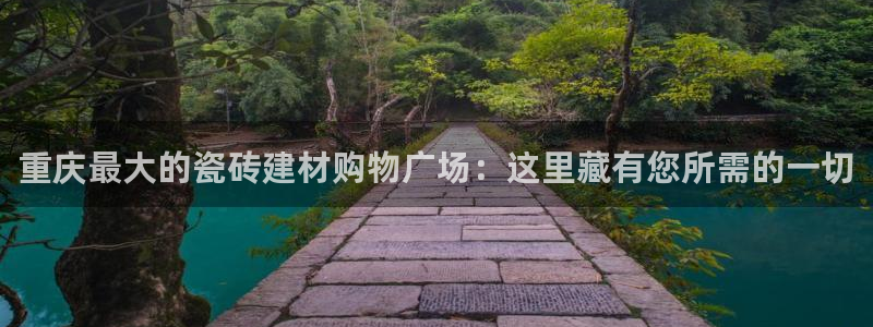 杏鑫平台代理注册多少钱一个