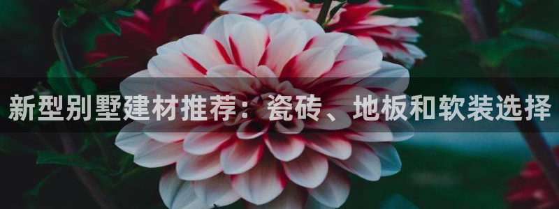 杏鑫平台代理怎么样