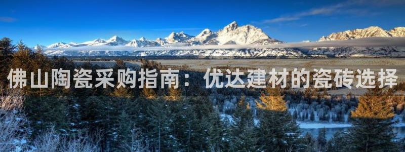 杏鑫平台代理注册