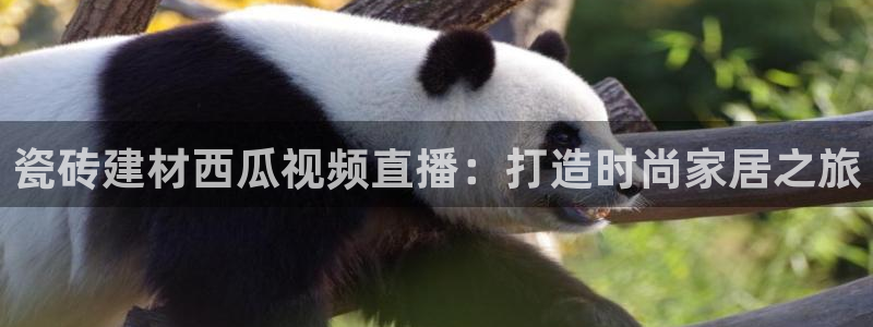 杏鑫注册登录代理公司