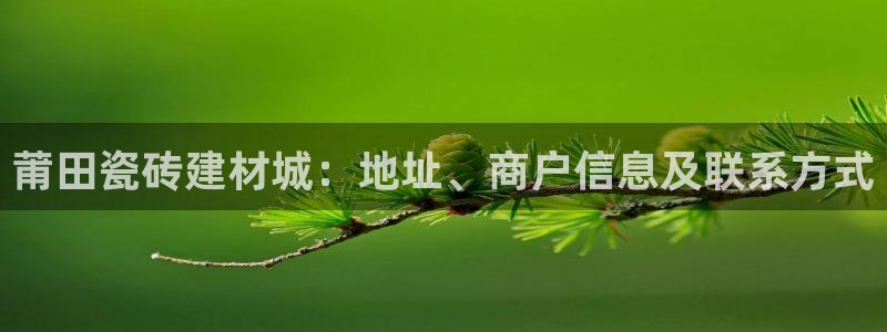 杏鑫平台代理注册流程图