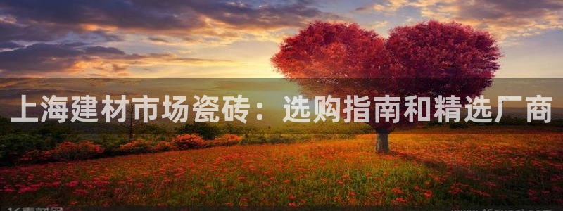 杏鑫代理注册登录