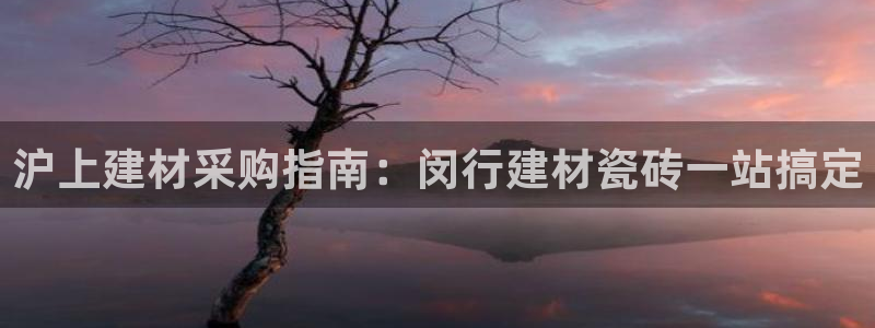 杏鑫平台注册地址