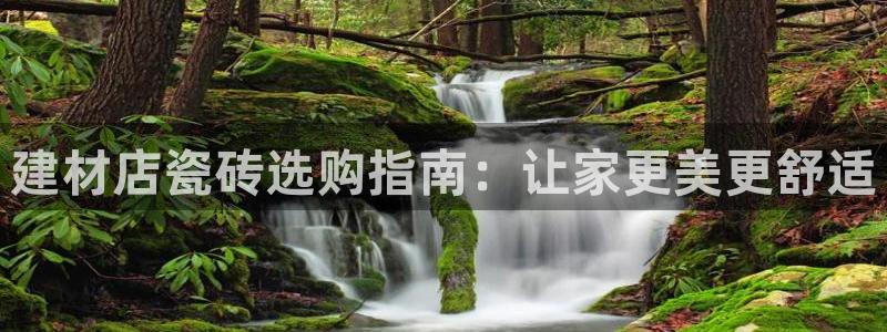 杏鑫平台登录注册