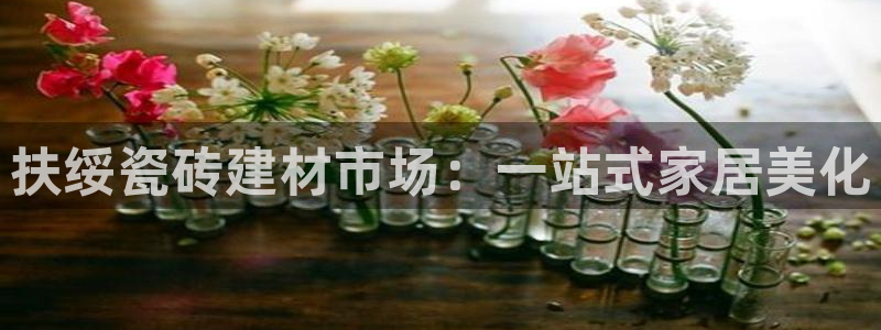 杏鑫平台代理注册流程图