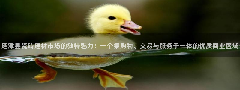 杏鑫平台注册地址在哪里