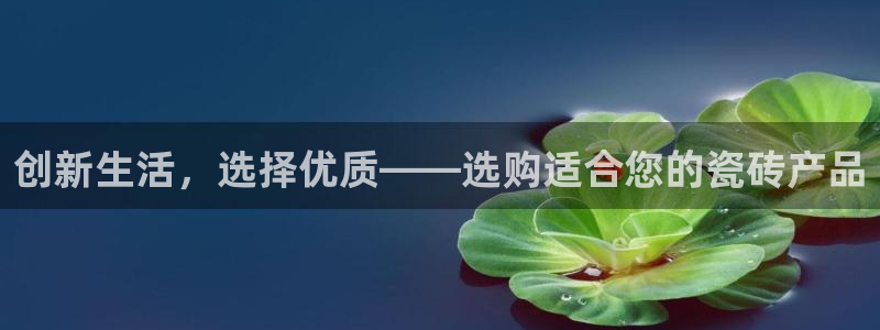 杏鑫平台代理注册流程及费用