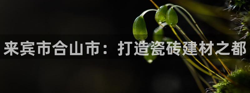 杏鑫注册登录网址是多少