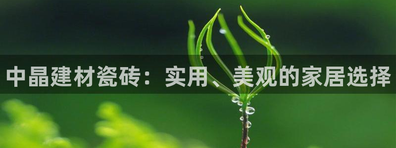 杏鑫代理注册登录