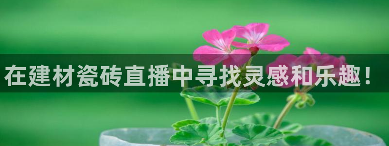 杏鑫注册登录代理