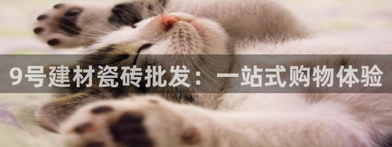 杏鑫平台代理注册