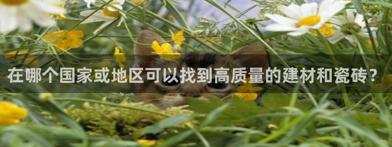 杏鑫平台注册网址是什么